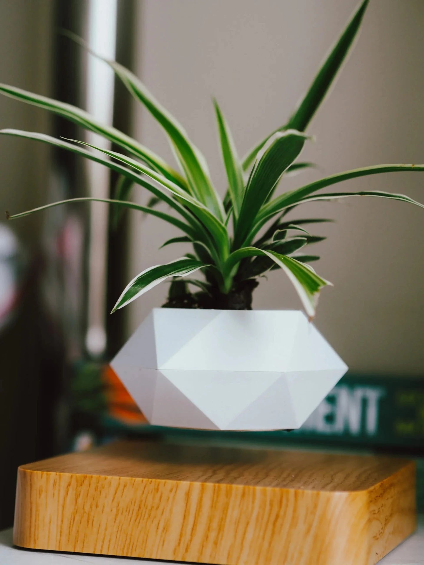 Floating Plant ™