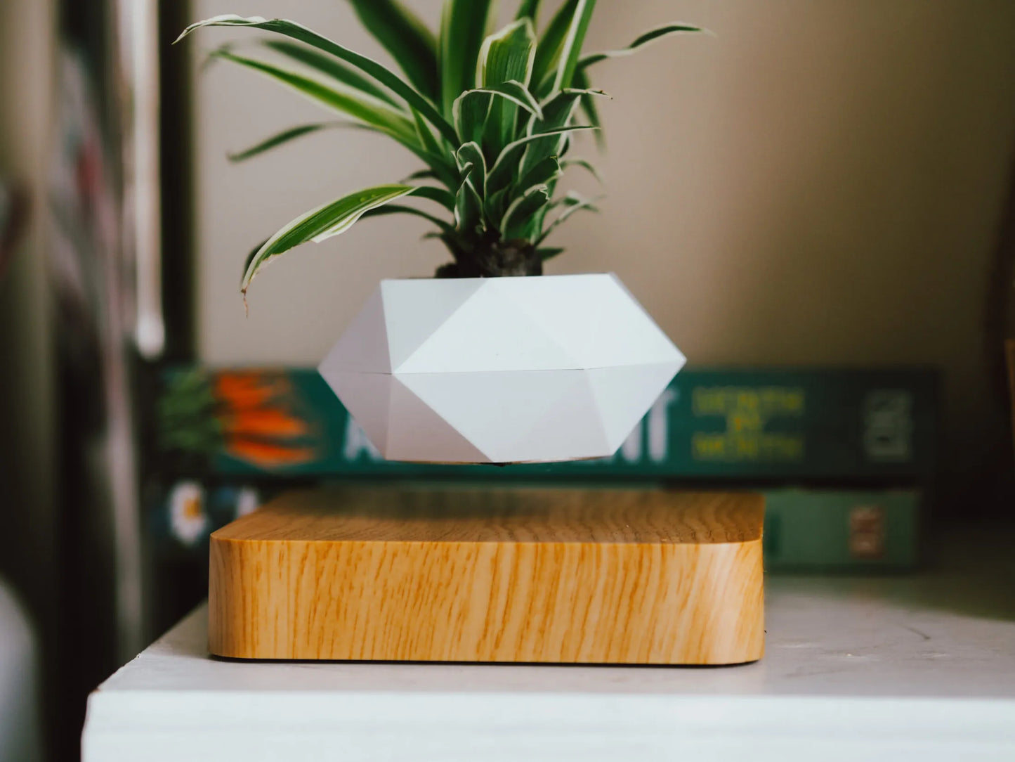 Floating Plant ™