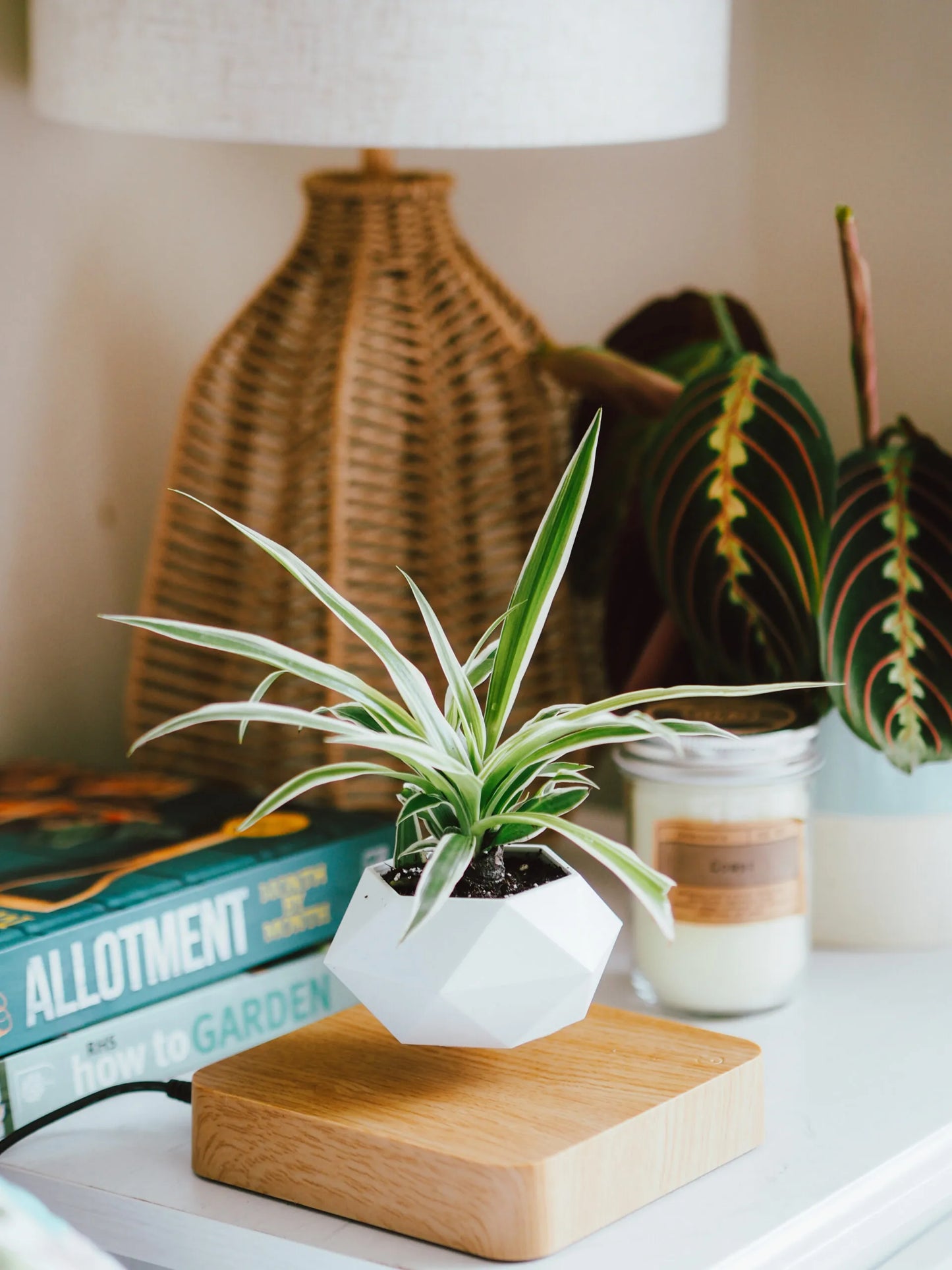 Floating Plant ™