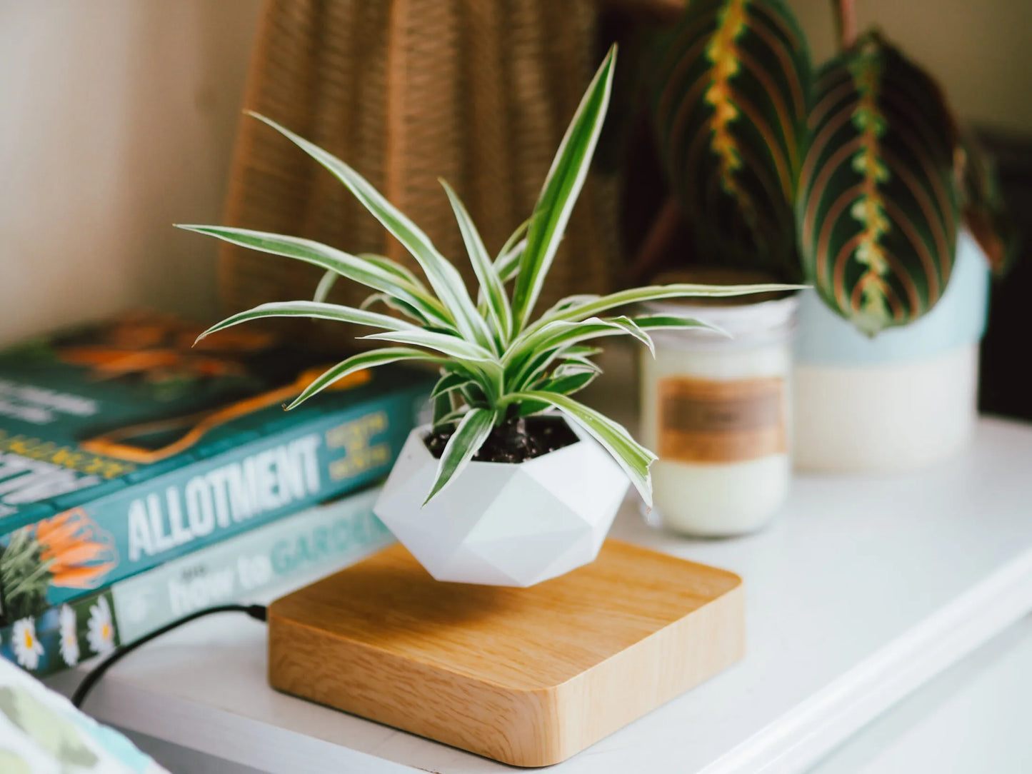 Floating Plant ™