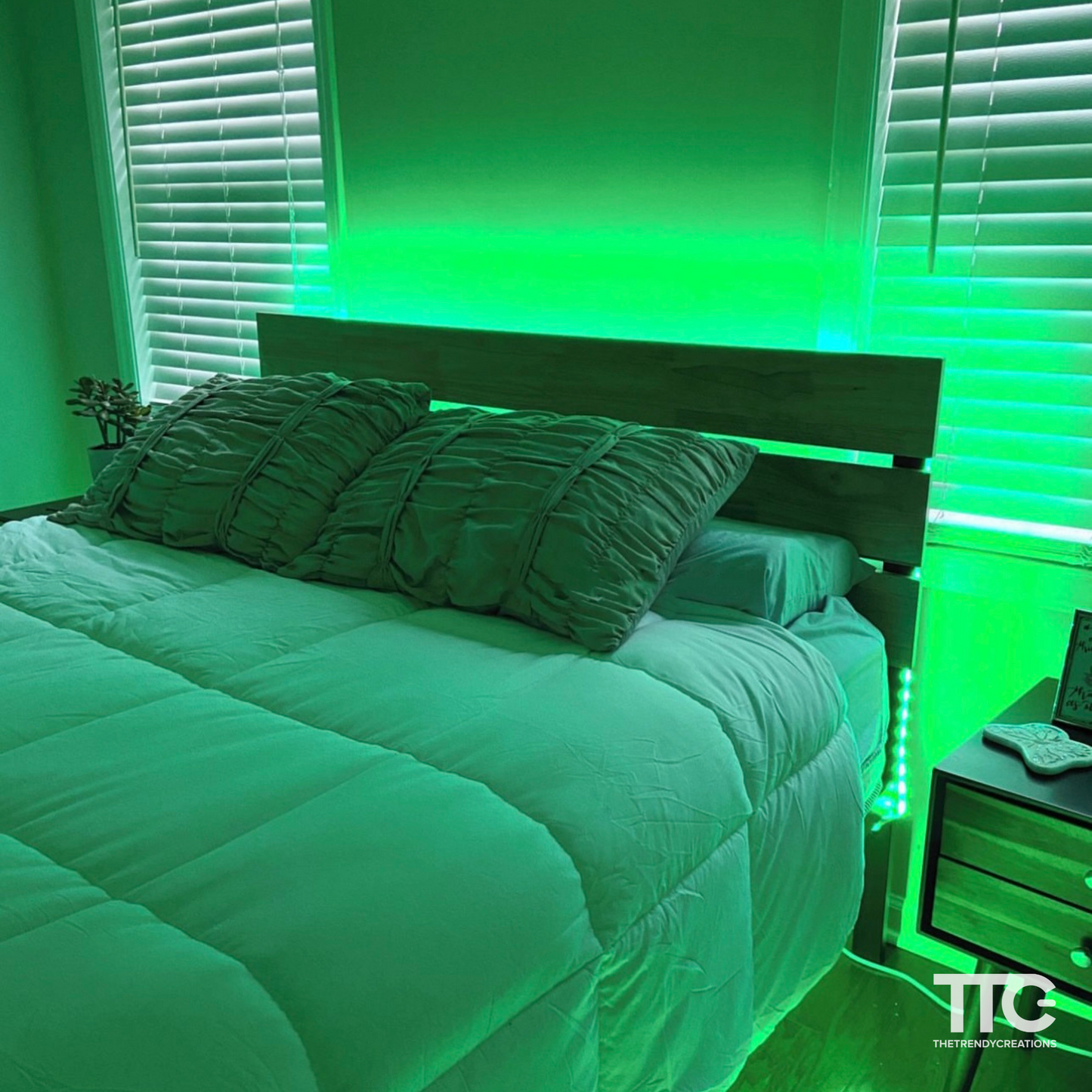 TTC RGB Smart LED Strip Light ™