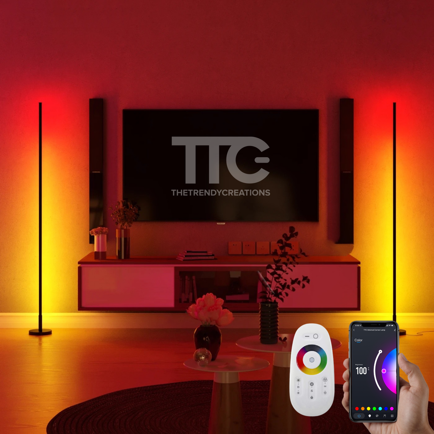 Smart Minimal Floor Lamp