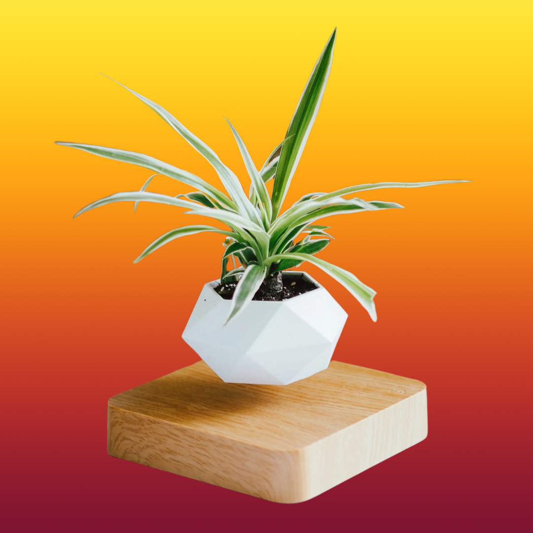 Floating Plant ™